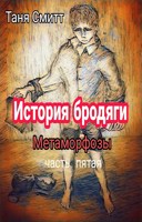 Обложка произведения История бродяги. Метаморфозы