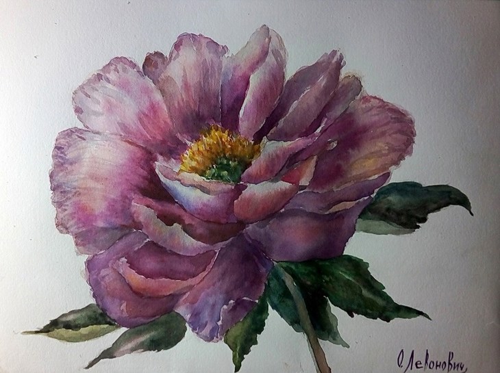 Иллюстрация