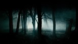 Обложка произведения Кто я?