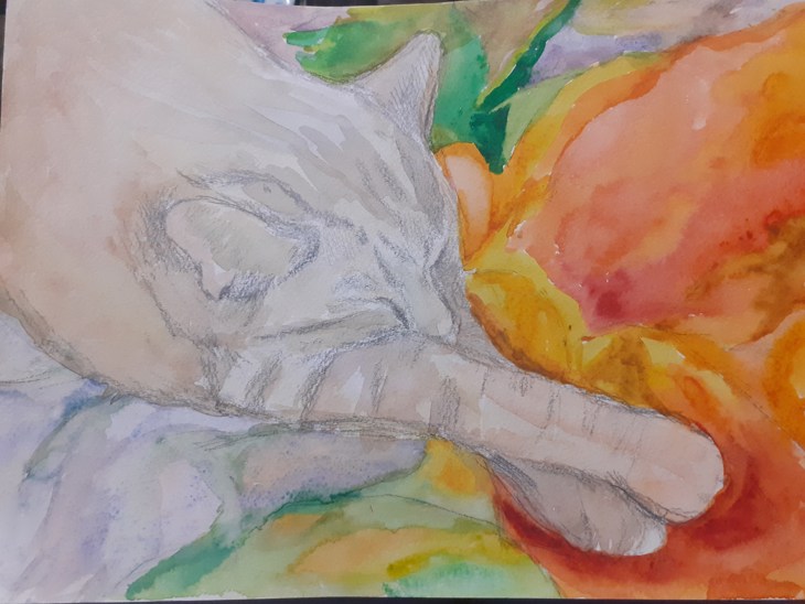 Иллюстрация