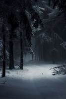 Обложка произведения Песнь жизни