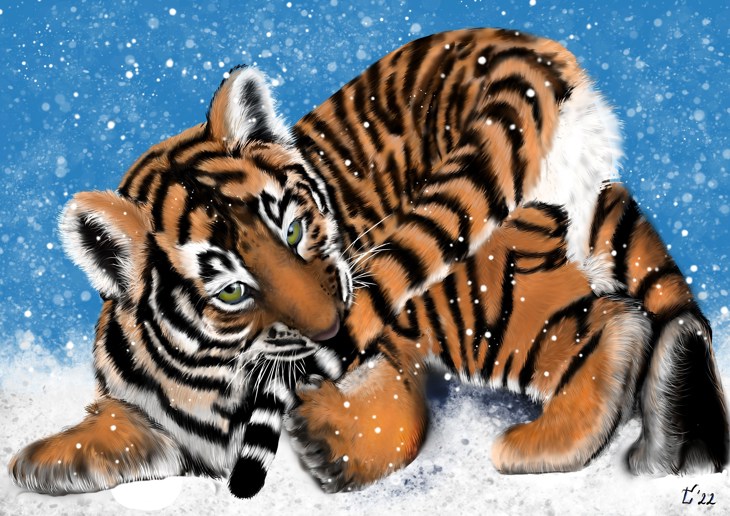 Иллюстрация