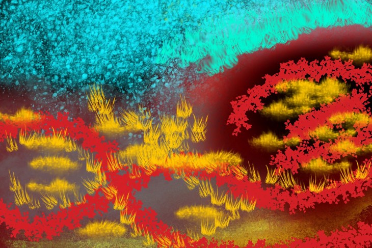 Иллюстрация