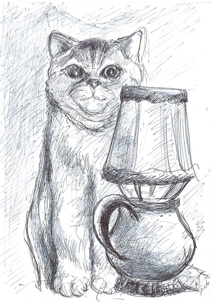 Иллюстрация