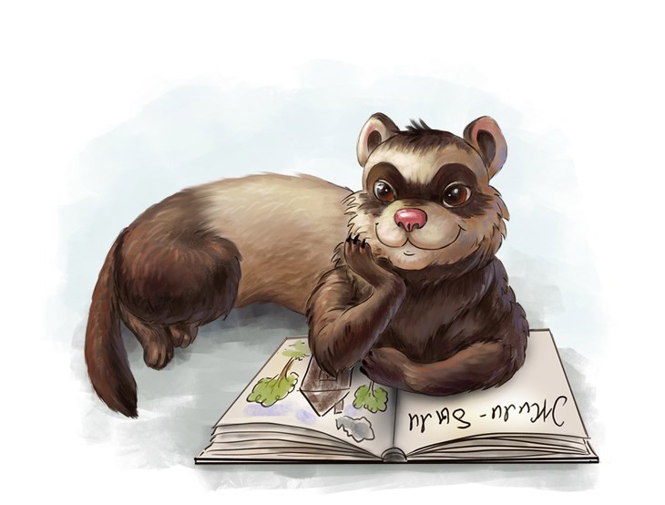 Иллюстрация