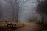 Обложка произведения Утрата