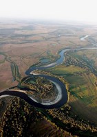 Обложка произведения Камерные сюиты