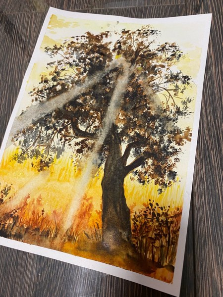 Иллюстрация