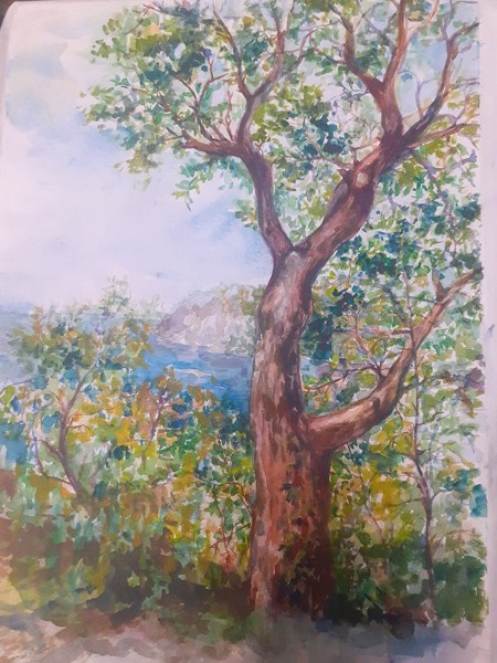 Иллюстрация