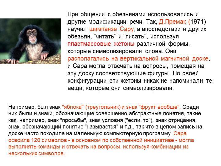 Бонобо канзи. Шимпанзе биология. Канзи и панбаниша. Бонобо канзи. Какой язык разработан для обучения обезьян.