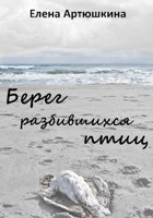 Обложка произведения Берег разбившихся птиц