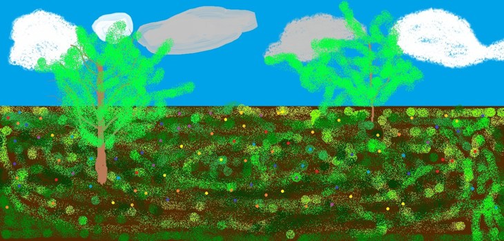 Иллюстрация