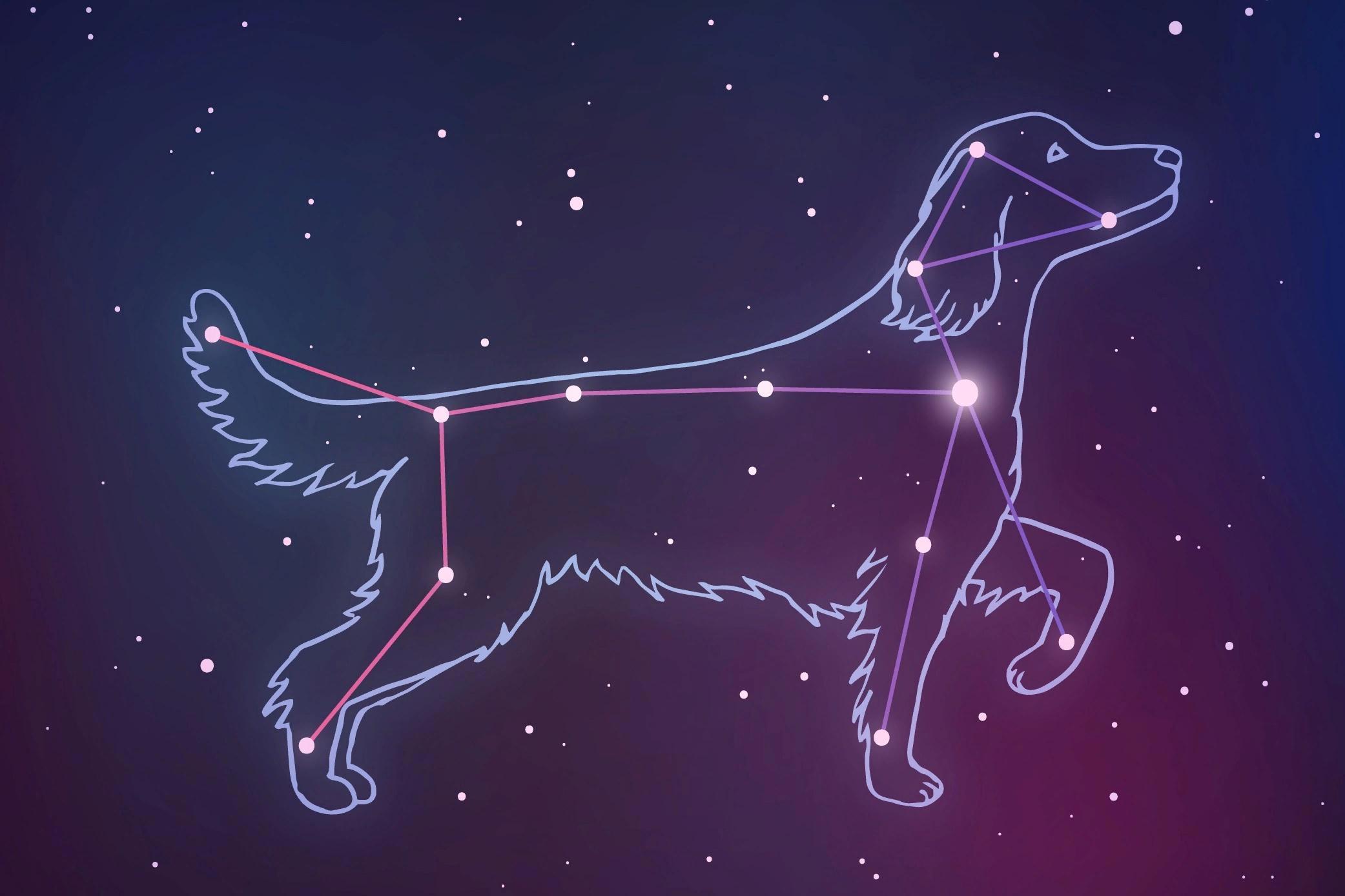 Сириус звезда какого созвездия. Созвездие большого пса Сириус. Созвездие Сириус Альфа большого пса. Созвездие большого пса со звездой Сириус на небе. Канис Майер Созвездие.