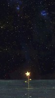 Обложка произведения Семь шагов до счастья.