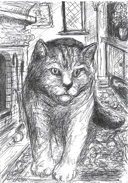 Иллюстрация