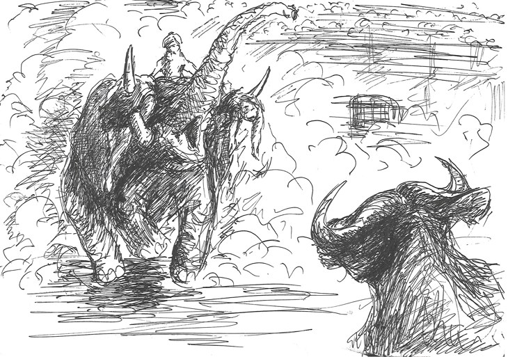 Иллюстрация