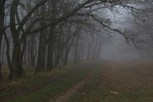 Обложка произведения Лабытманго
