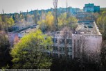 Обложка произведения Деревья на крышах