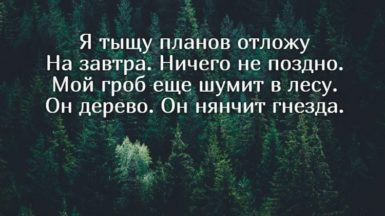 Стих дерево нянчит гнезда. Мой гроб ещё шумит в лесу стих. Мой гроб шумит в лесу он дерево нянчит гнезда. Я тыщу планов отложу на завтра. Я тыщу планов отложу на завтра ничего не поздно стих.