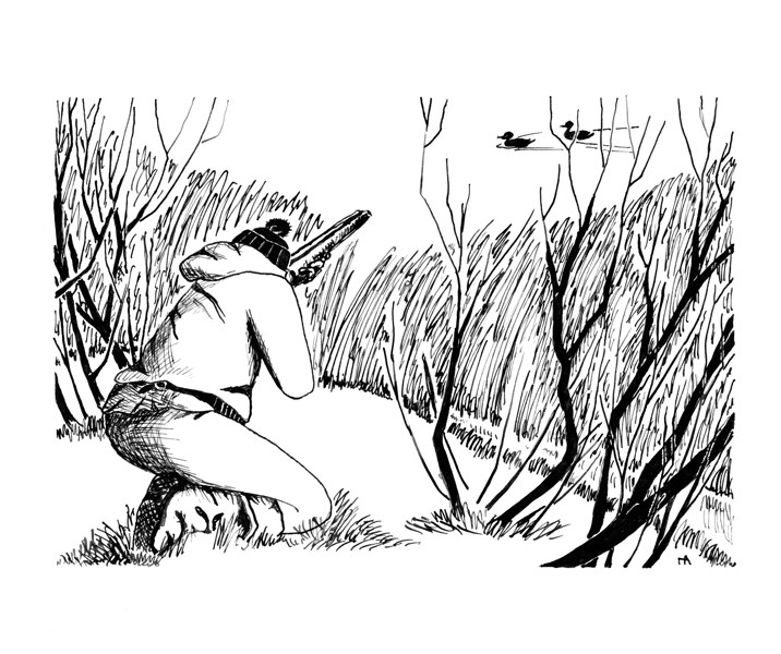 Иллюстрация