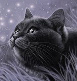 Обложка произведения О коте Василии (маленькая трилогия)