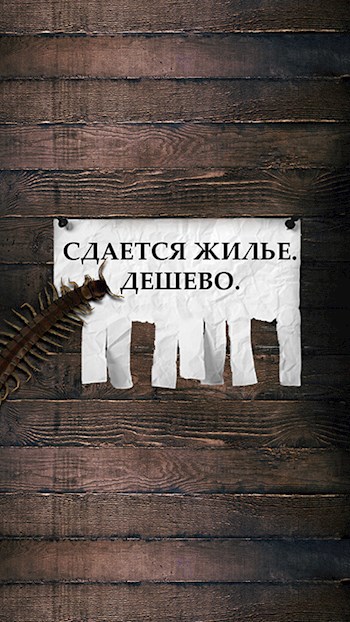 Обложка произведения Сдается жилье. Дешево.