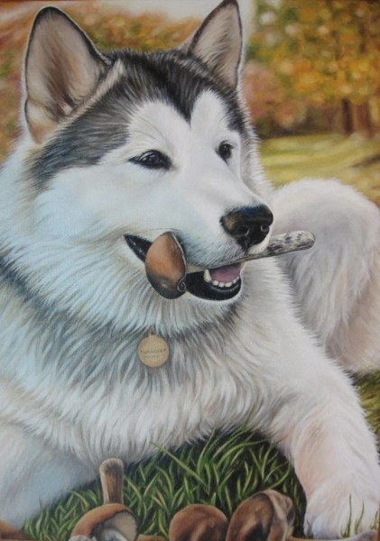 Иллюстрация