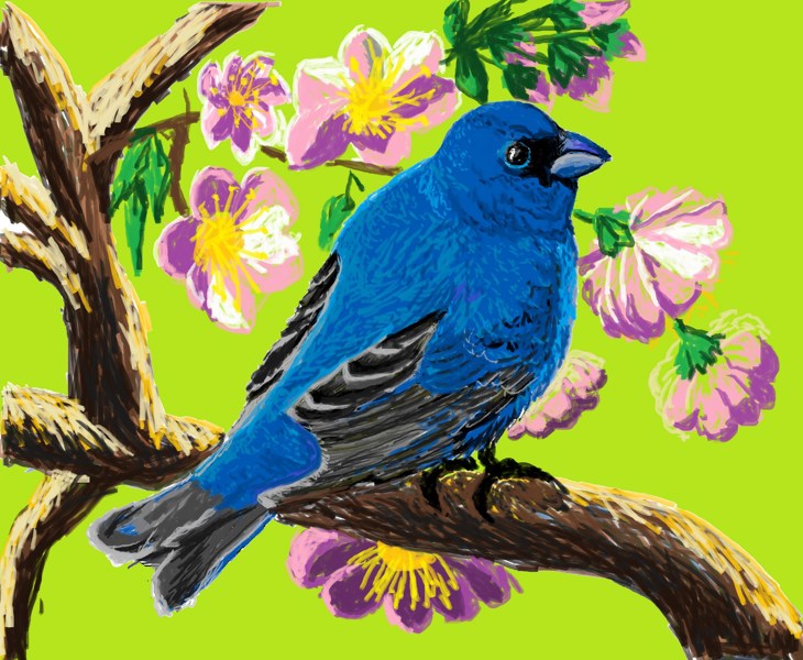 Иллюстрация