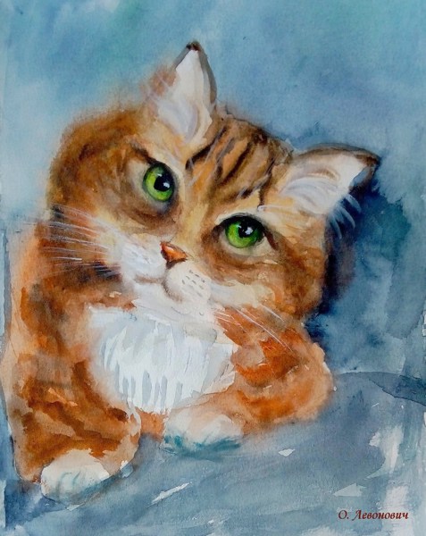 Иллюстрация