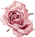 21e956cd4d33402ea6071e60e32aca0e.png