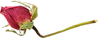 347928f8735b4b7aaa4399361bad3fd3.png