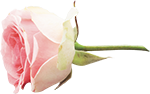 65397efd086f49178c457ff1e044872c.png