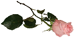 c996a8cf6b1843648c6fdc11b06b75aa.png