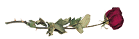 fe9819ec51524052b345efc996f0a10a.png