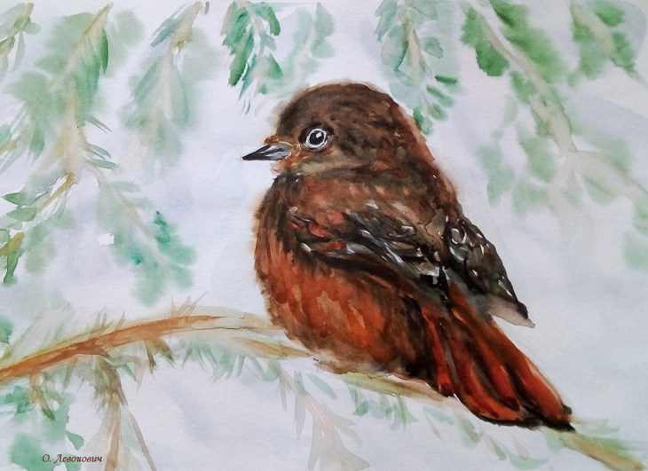 Иллюстрация