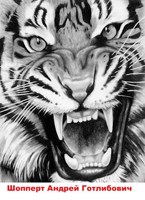 Обложка произведения Охота на Тигра. Книга третья. Настоящий полковник