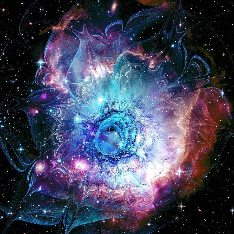 картинки цветка космос