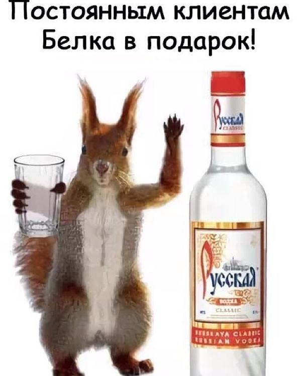 Когда приходит белочка от пьянки. Белка алкогольная. белочка алкогольная прикольные.