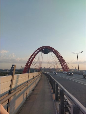 Обложка произведения Сборник стихов