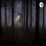 Обложка произведения Лучик света