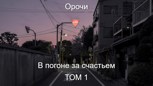 Обложка произведения В погоне за счастьем