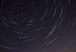 Обложка произведения Розовая ящерица