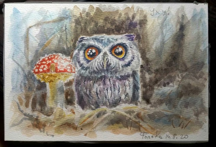 Иллюстрация