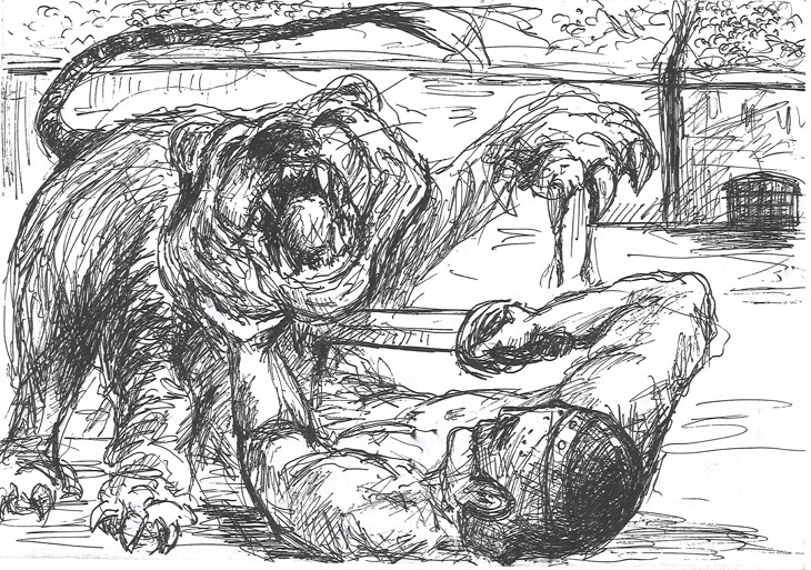 Иллюстрация