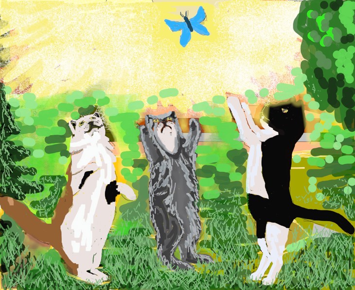 Иллюстрация