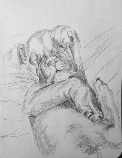 Иллюстрация