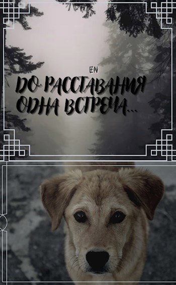 Обложка произведения До расставания одна встреча