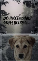 Обложка произведения До расставания одна встреча