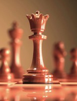 Обложка произведения Вариант Гончева