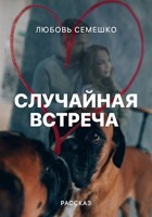 Обложка произведения Случайная встреча